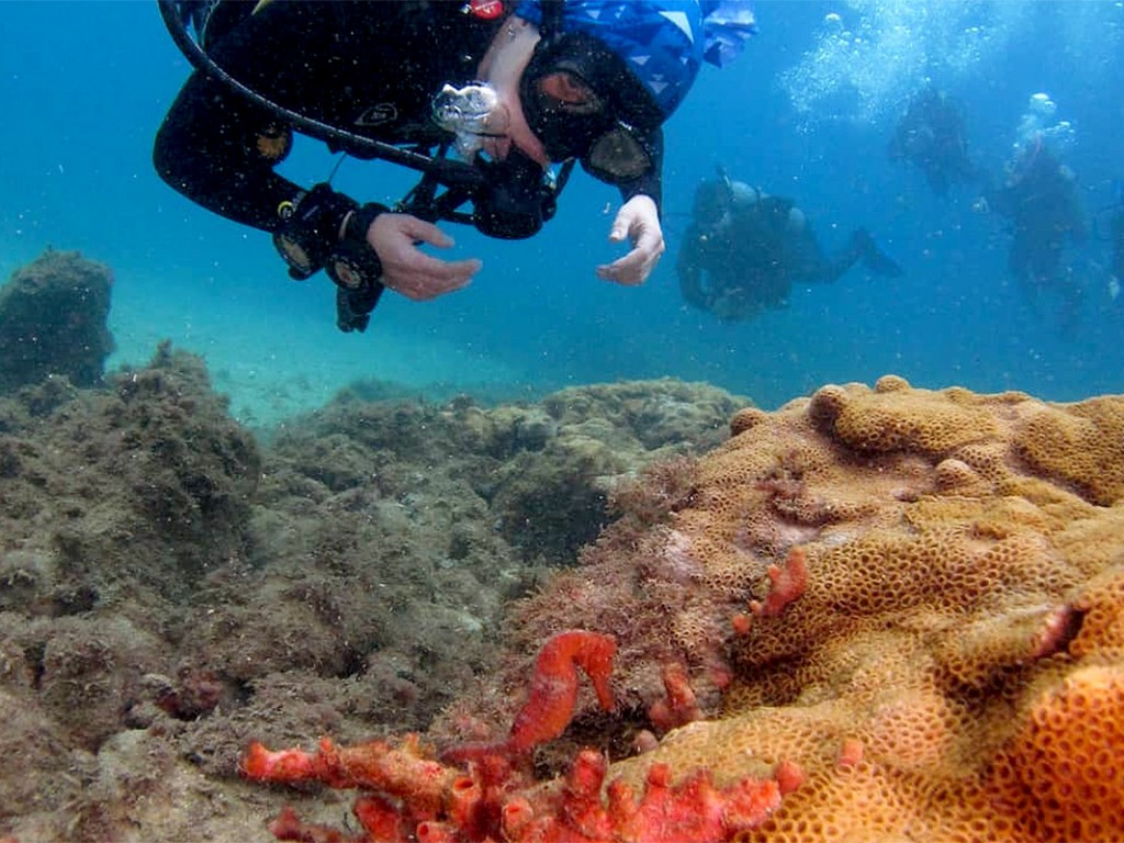 BUCEO, en Ilha Grande una experiencia única
